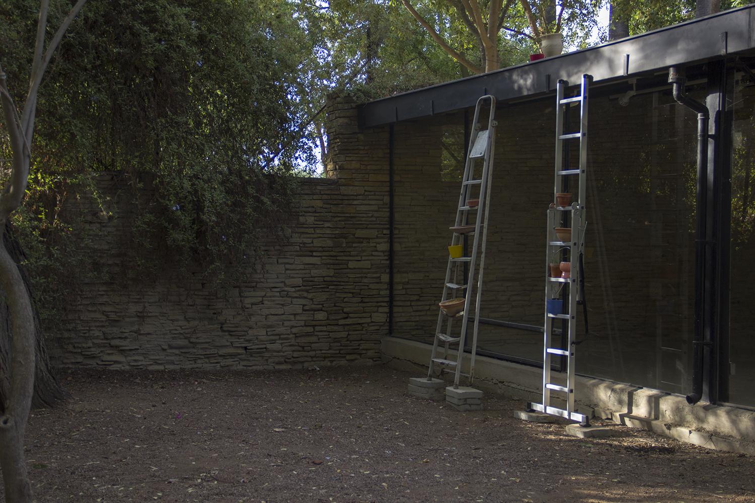 Residents S01: Stories in the Greenhouse