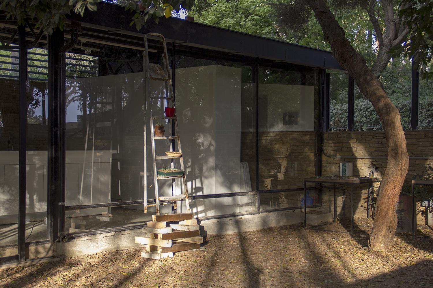 Residents S01: Stories in the Greenhouse