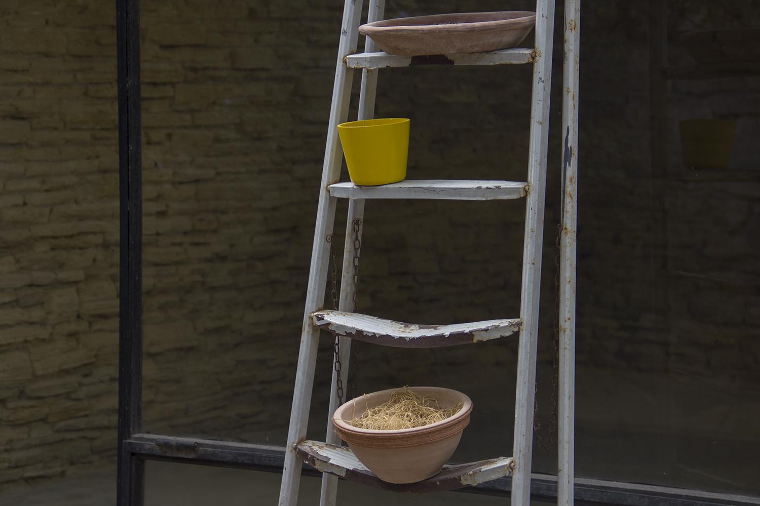 Residents S01: Stories in the Greenhouse