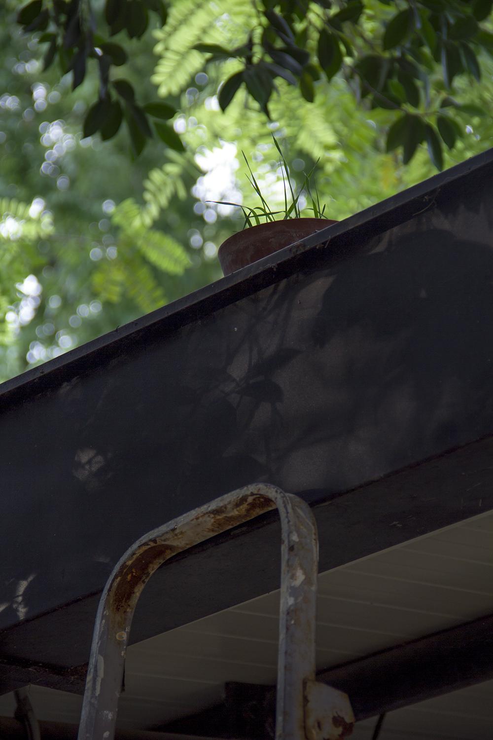 Residents S01: Stories in the Greenhouse