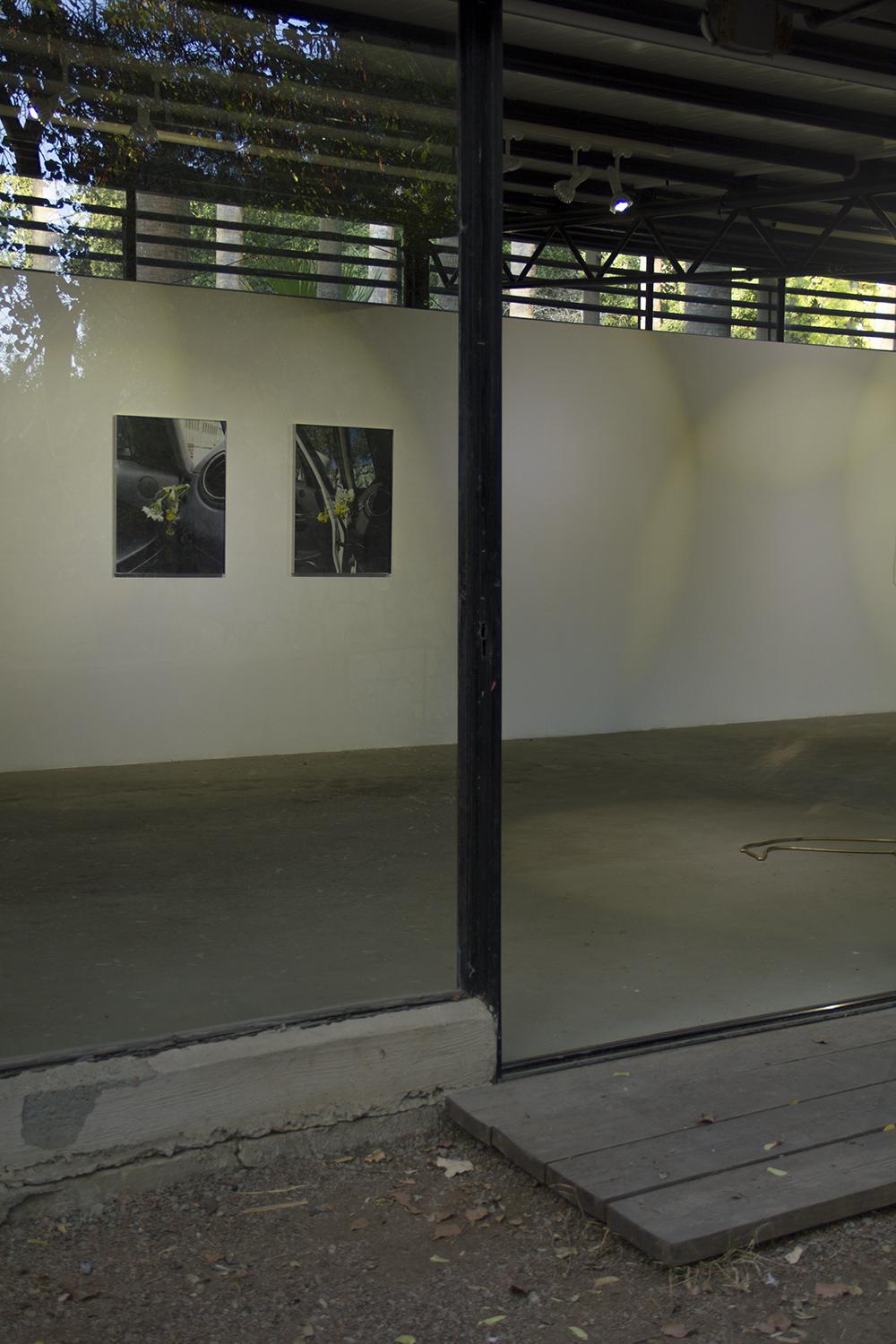 Residents S01: Stories in the Greenhouse