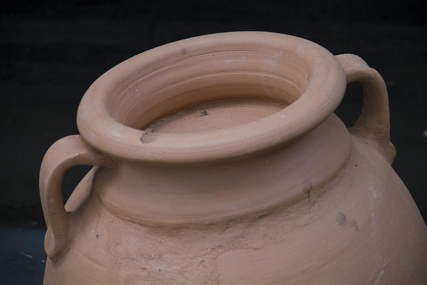 Residents S01: Stories in the Greenhouse