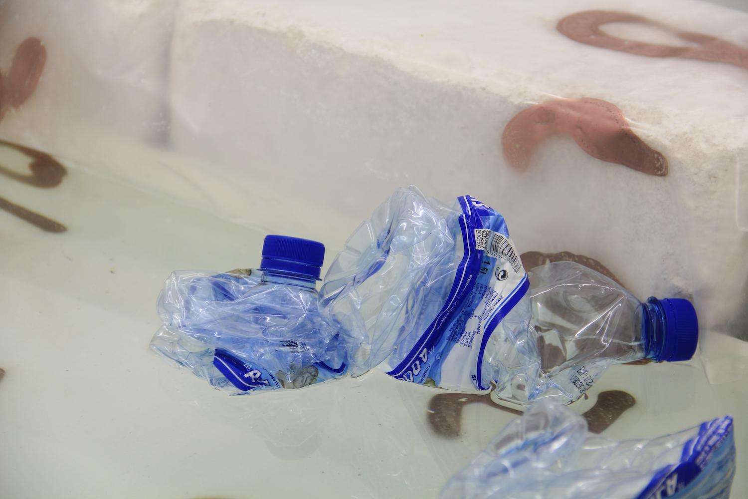 Share IRL Phase 2: The Anxiety Primer