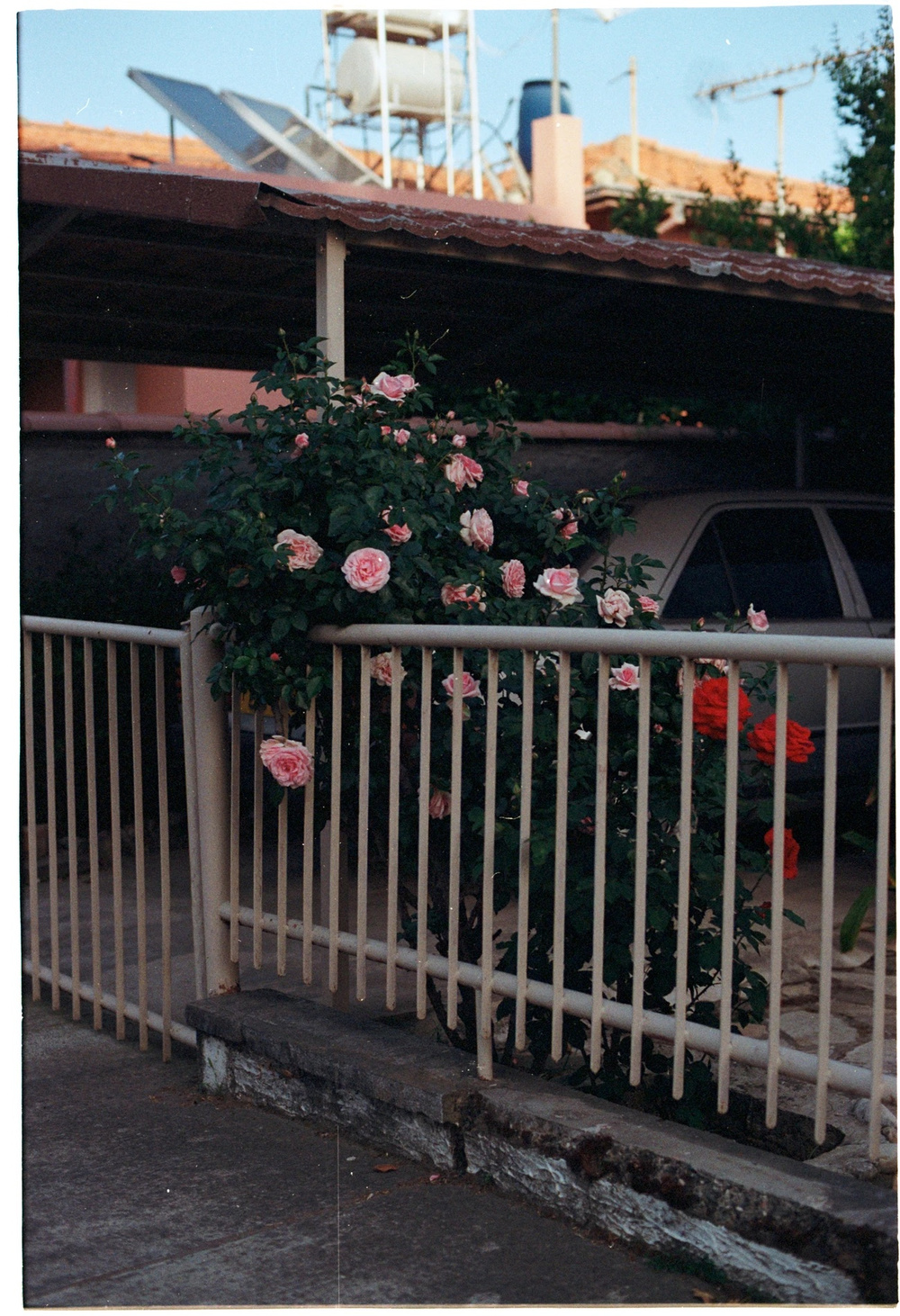 The Τέλος Society Issue 3: EARTH