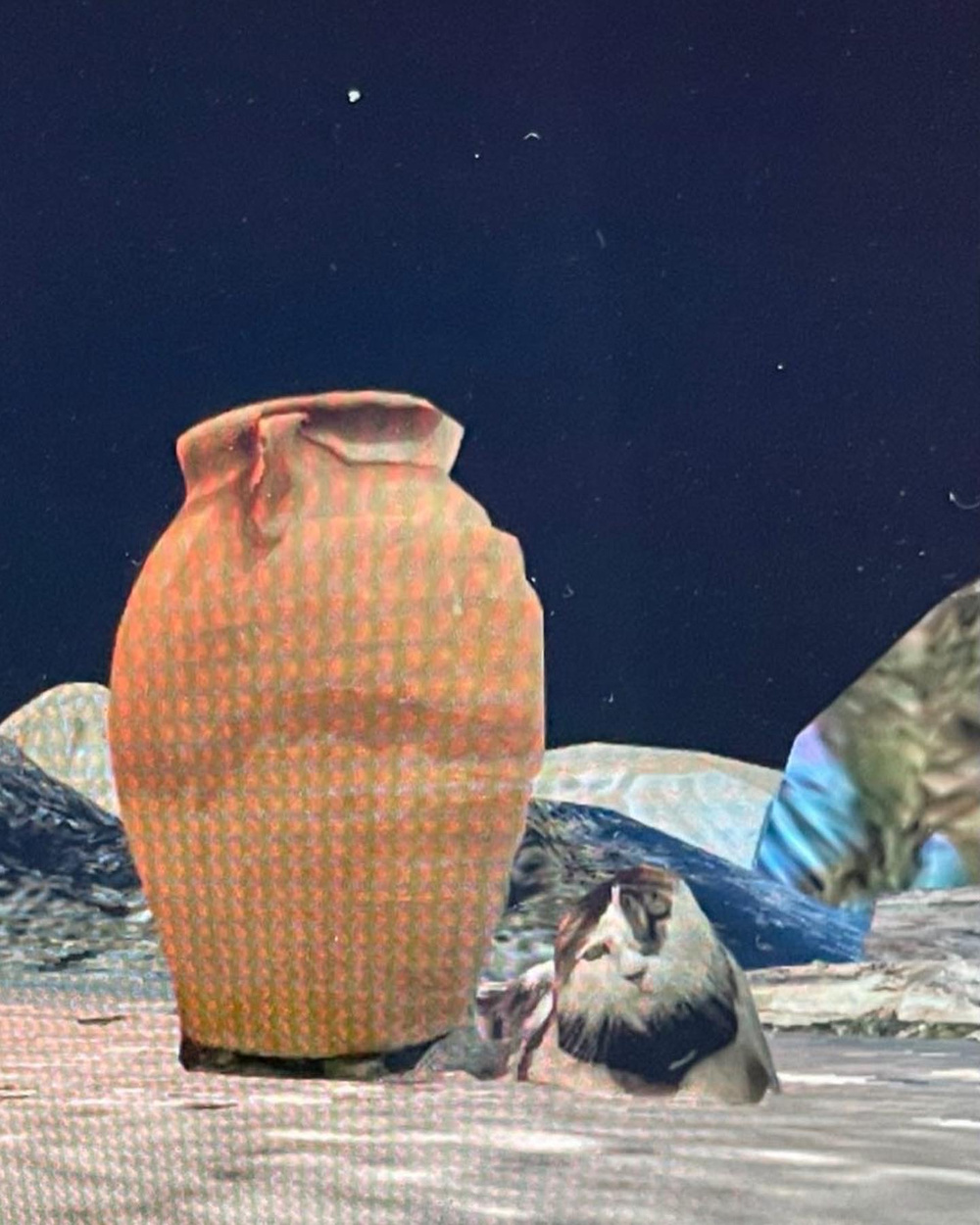 The Island Club presents: A Day