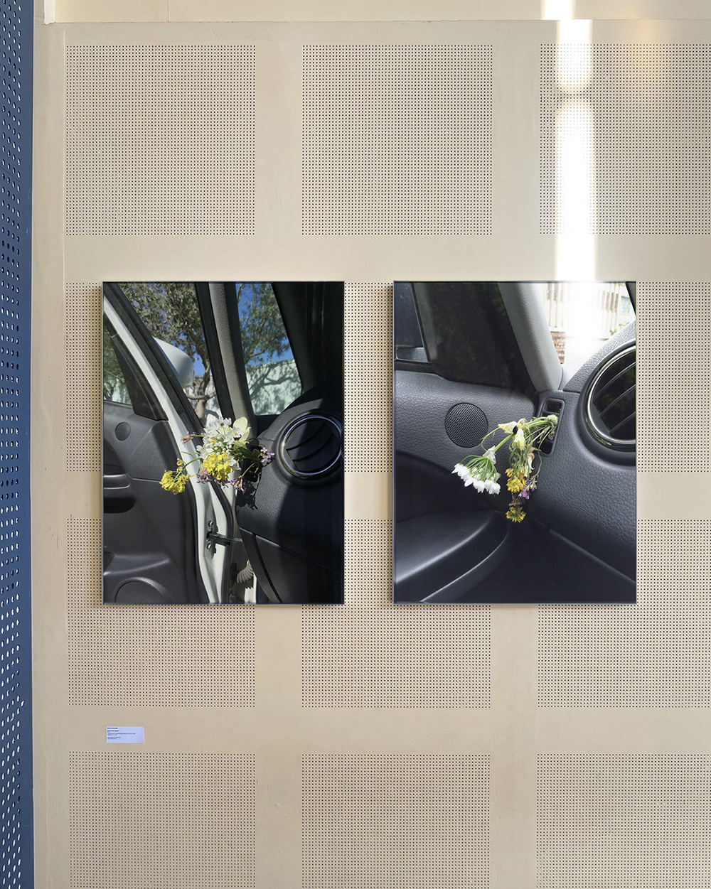 Bravo Bravo Editions SHOWCASE