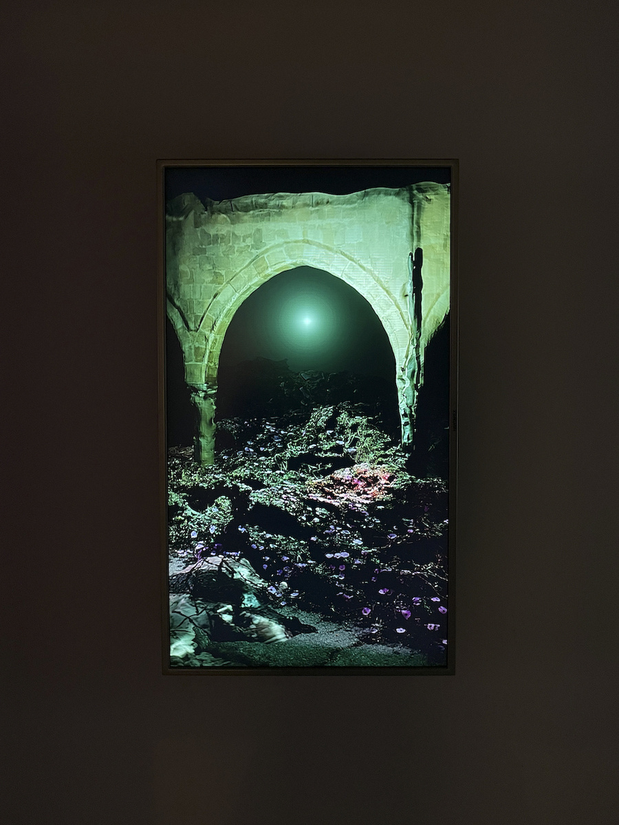 Sensing is believing, believing is seeing