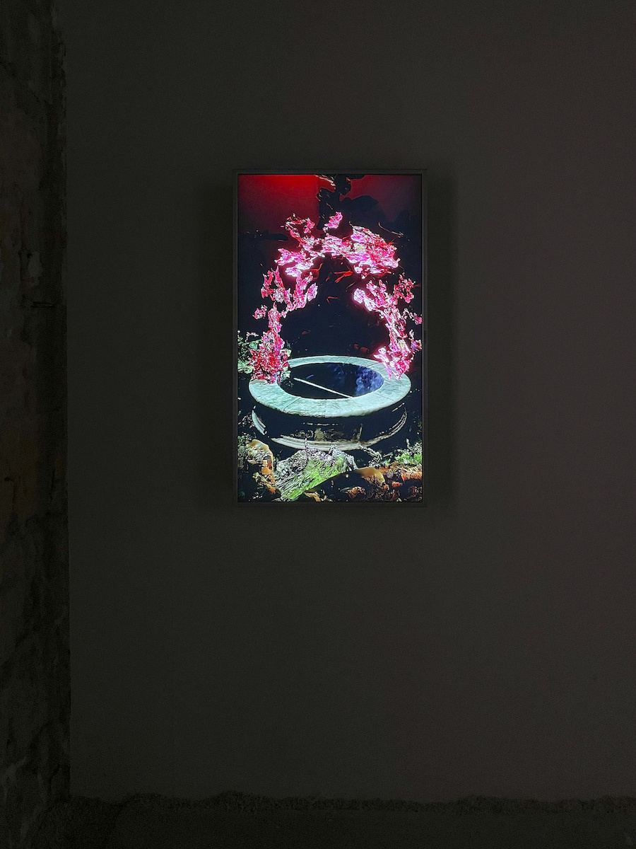 Sensing is believing, believing is seeing