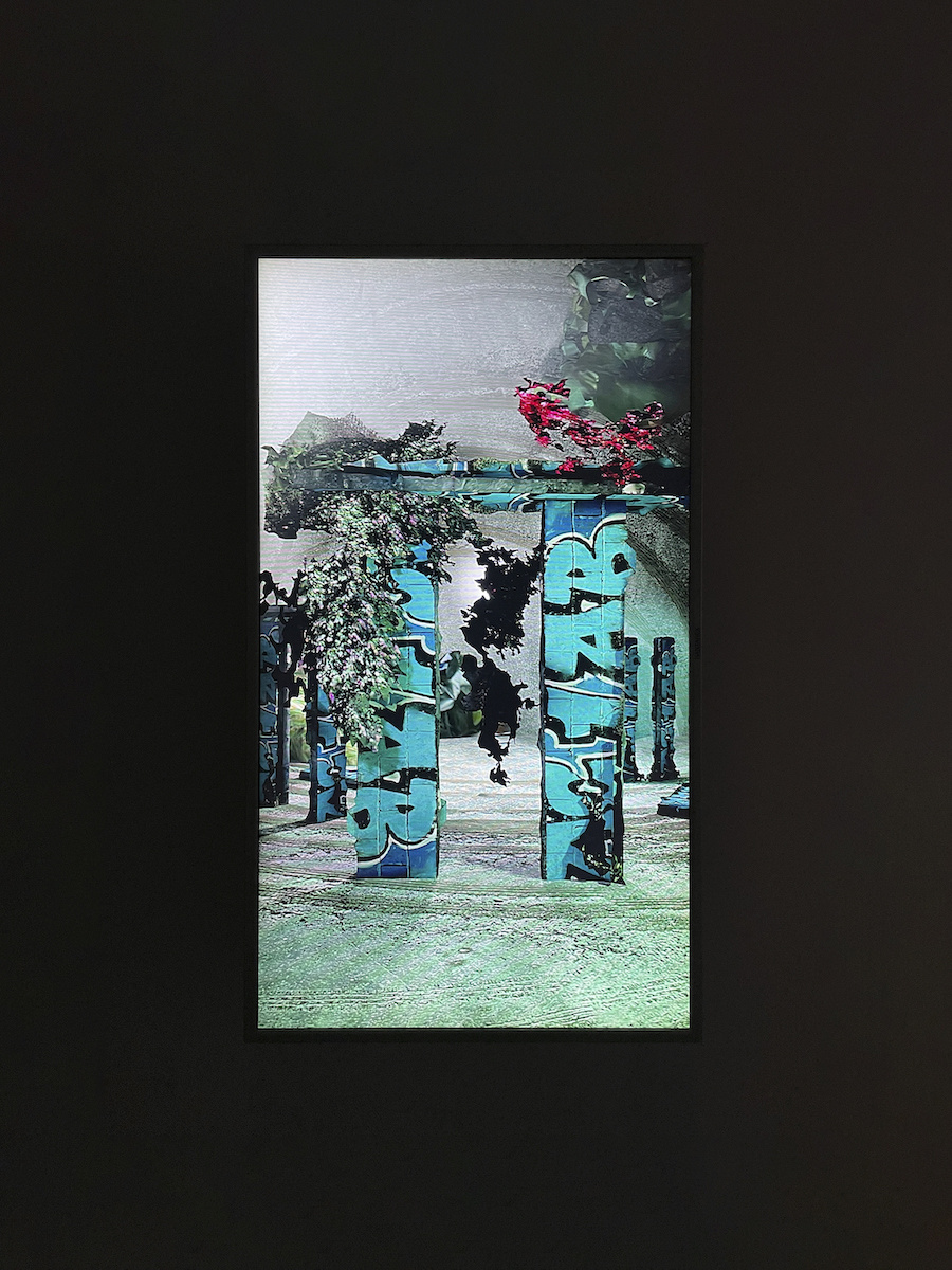 Sensing is believing, believing is seeing