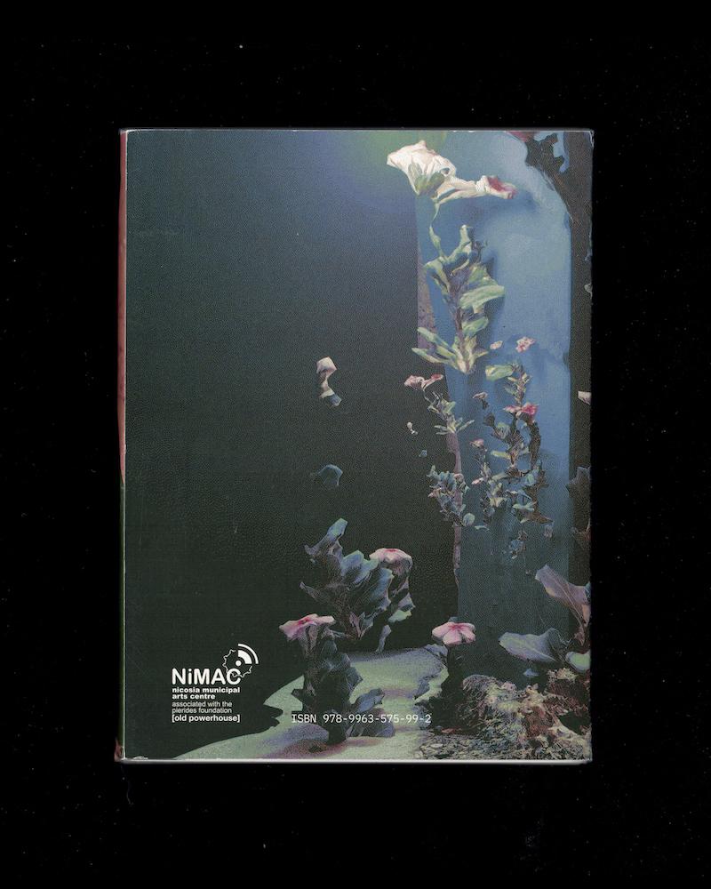 Adonis Archontides: Sensing is Believing, Believing is Seeing