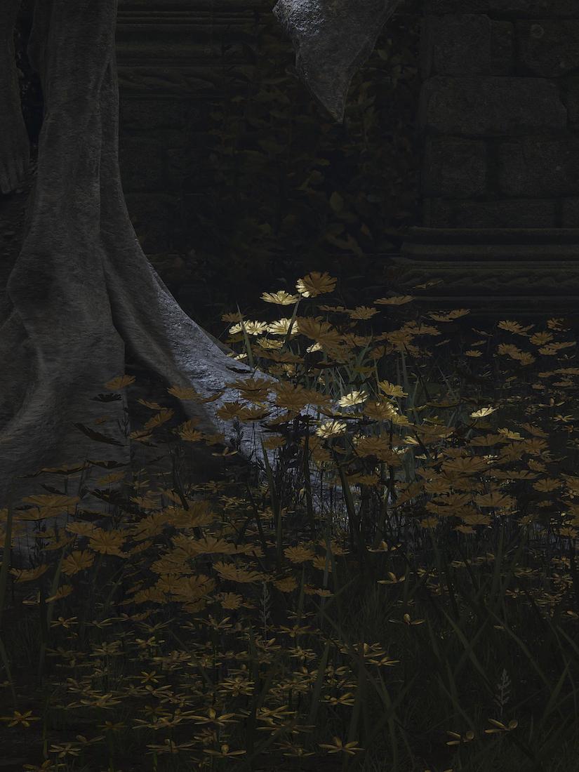 Postcards from Hereafter