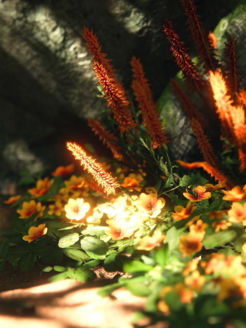 Postcards from Hereafter