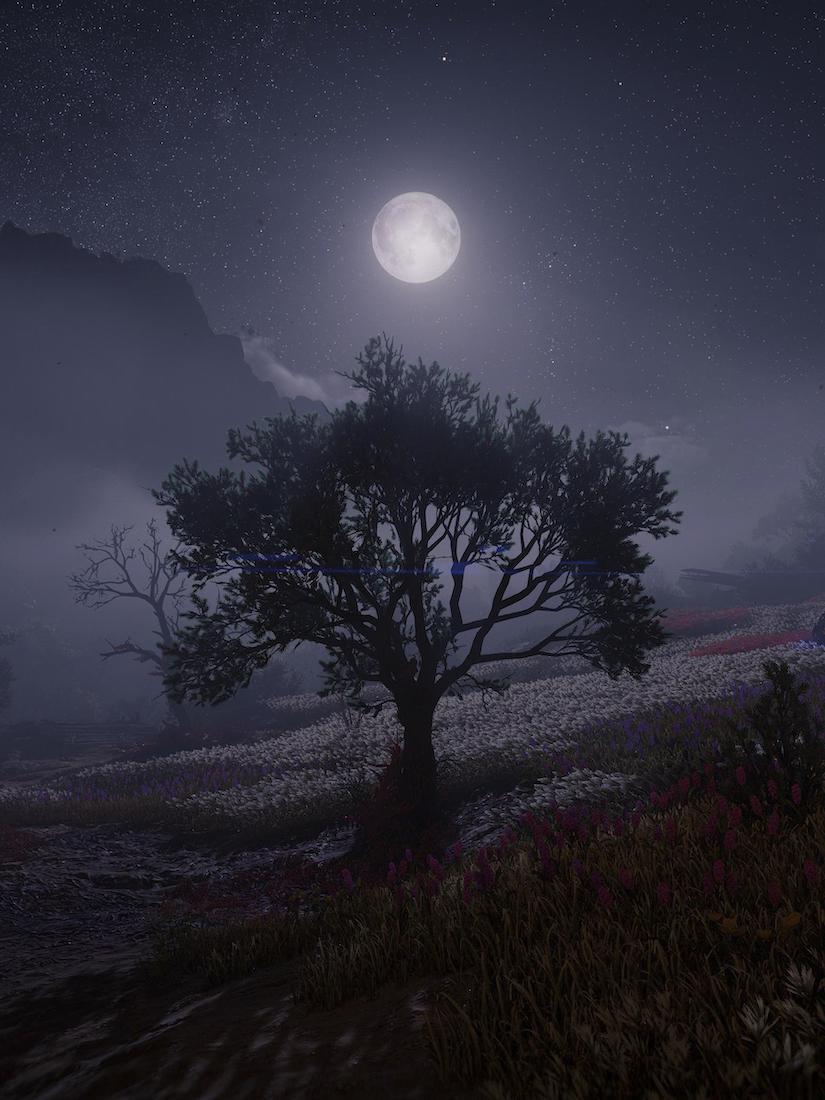 Postcards from Hereafter