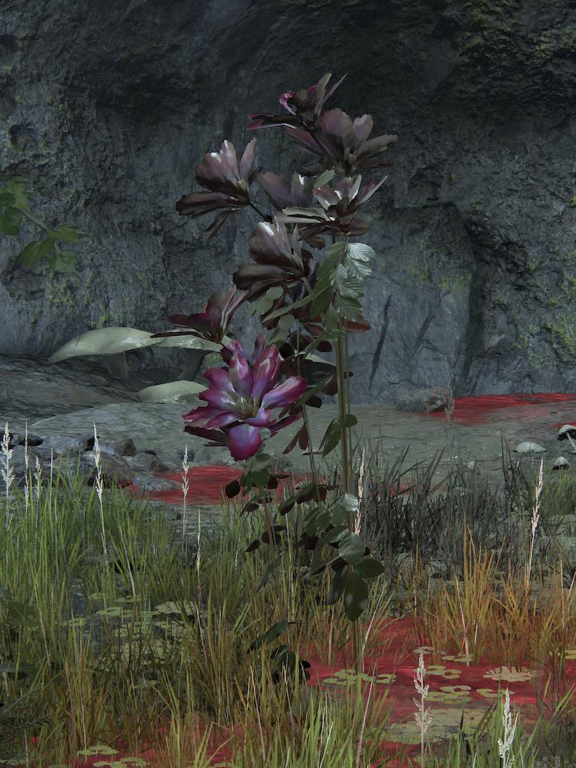 Postcards from Hereafter