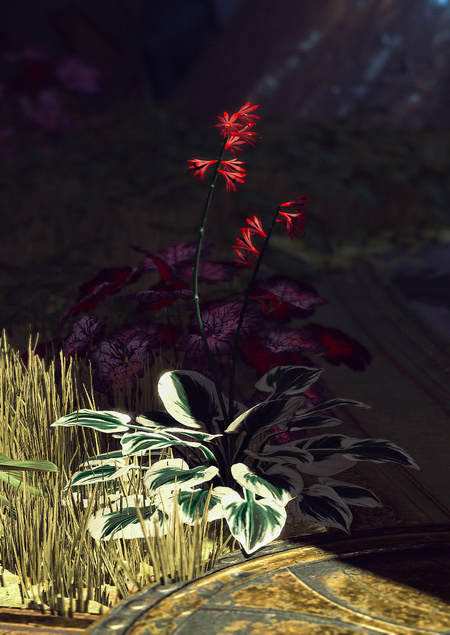 Postcards from Quarantine