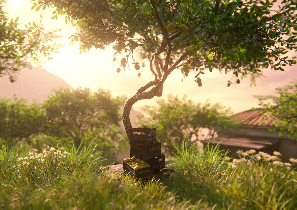 Postcards from Quarantine