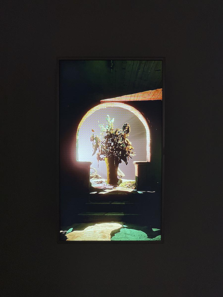 Black Rooster Sideroom