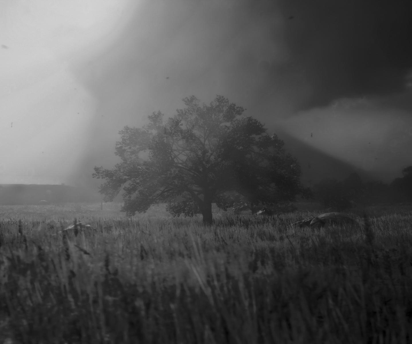 Postcards from Quarantine