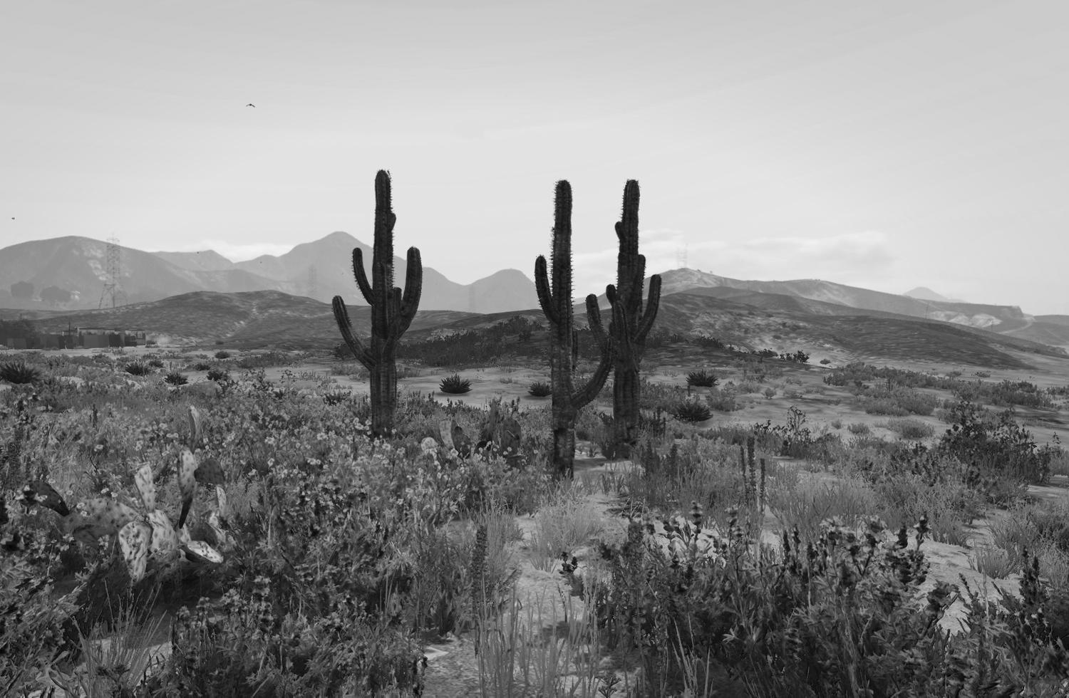 Postcards from Quarantine