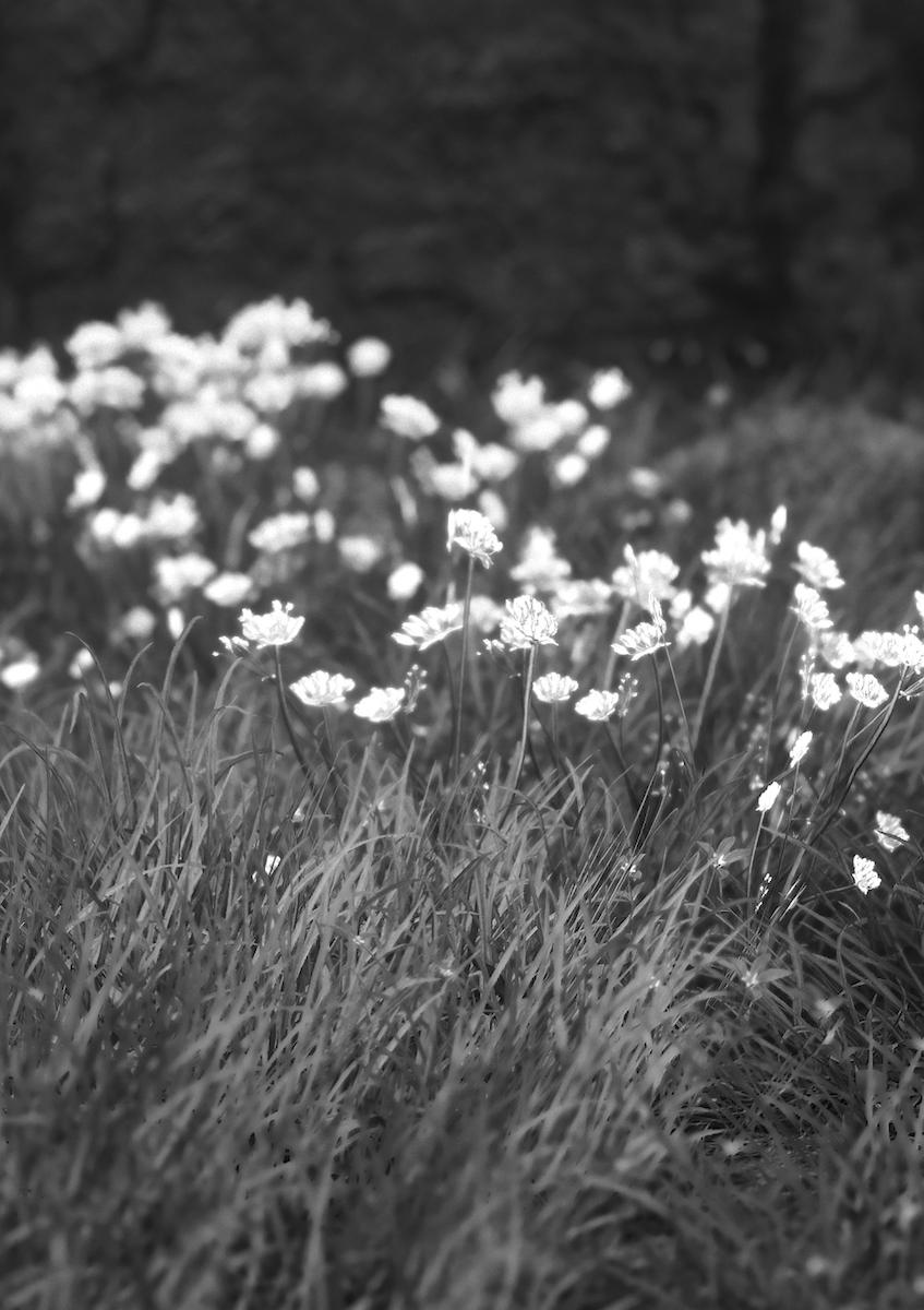 Postcards from Quarantine